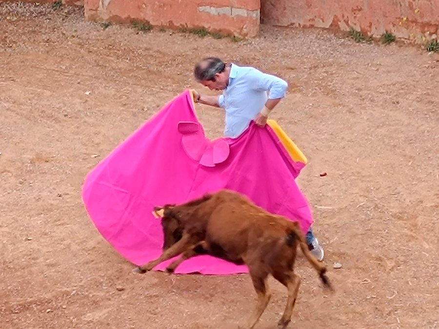 capea finca el montecillo